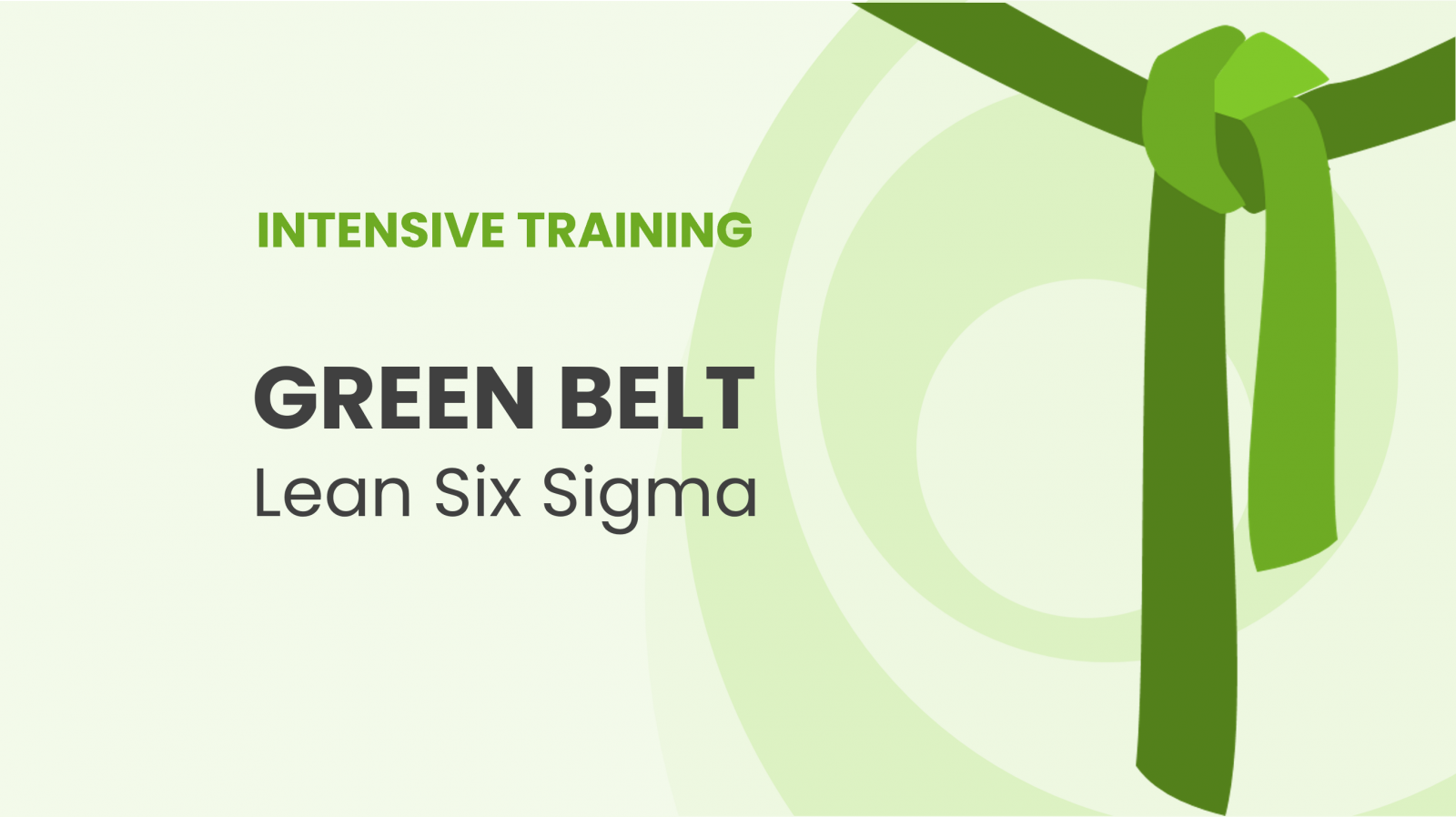 Lean green clearance belt